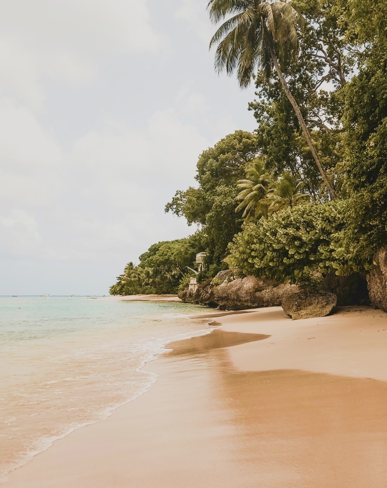 Surfing in Barbados