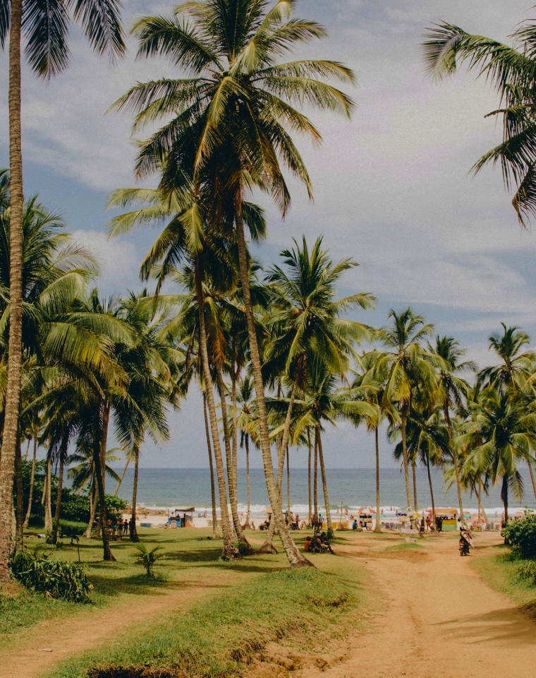 Surfing in Brazil