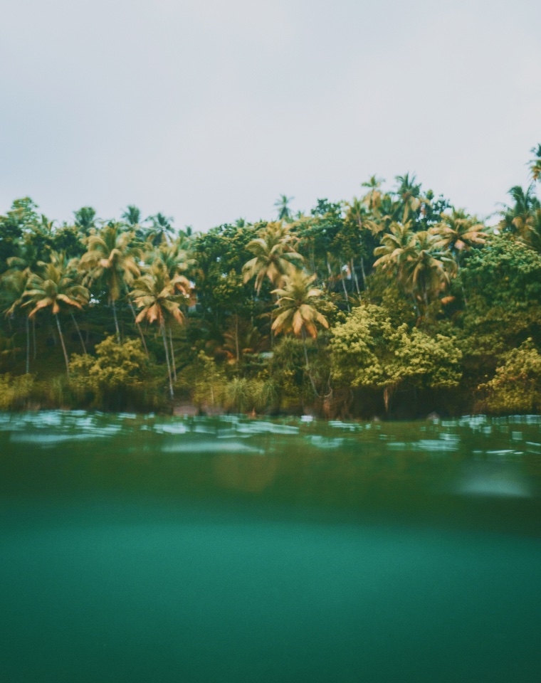 Surfing in Sri Lanka